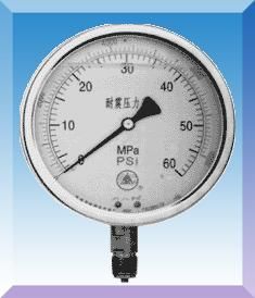 双刻度耐震压力表 YTN-50/60/100/150