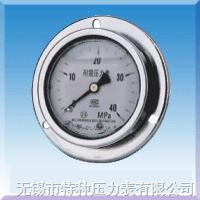 不銹鋼耐震壓力表 Y-60/100/150BF/Z