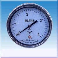 不銹鋼膜盒壓力表 YE-60/100/150-B