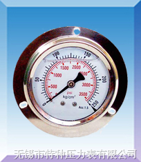 帶邊耐震壓力表 YN-60 100 150系列