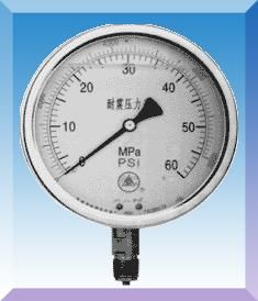 防震壓力表 YTN-50/60/100/150